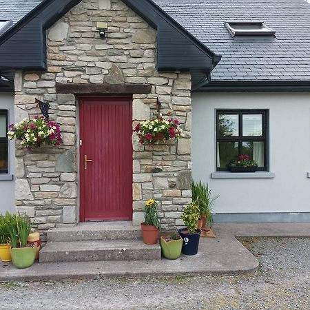 Country Lane Homestay Westport Exteriér fotografie